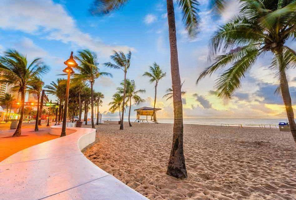 Commercial Permit Expediter